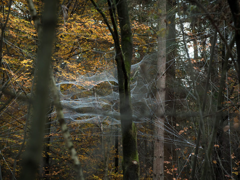 Tomás Saraceno. Gravitational Waves, 2017. Installation view, Cosmodrome, Kattevennen, Genk, Belgium. © Photography by Kristof Vrancken / Z33 House for Contemporary Art.